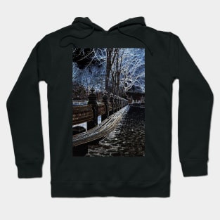 Ghostly Central Park in NYC Hoodie